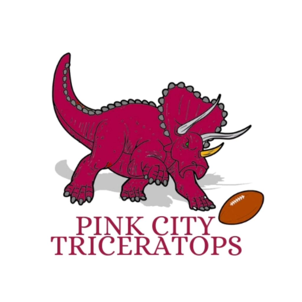 Pink City Triceratops