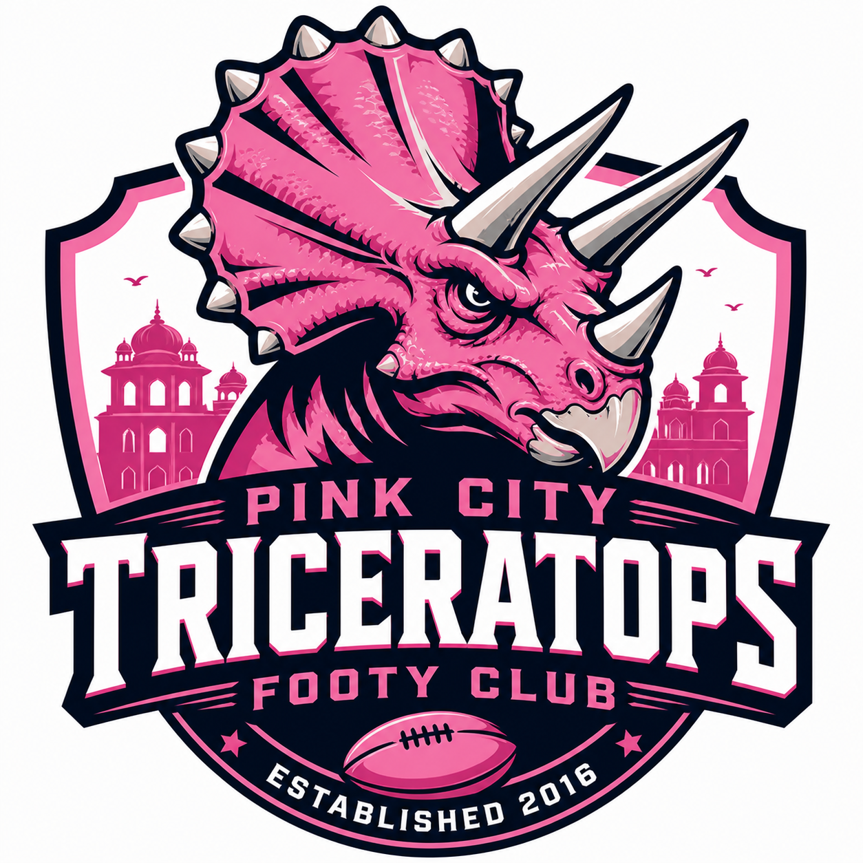 Pink City Triceratops AFL Club